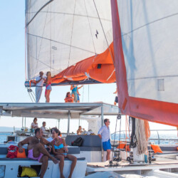 Catamaran CAT 79 Attraction Palma 5