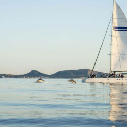 Catamaran Fountaine Pajot Taiti 75 Blue Mediterraneum Mallorca 27