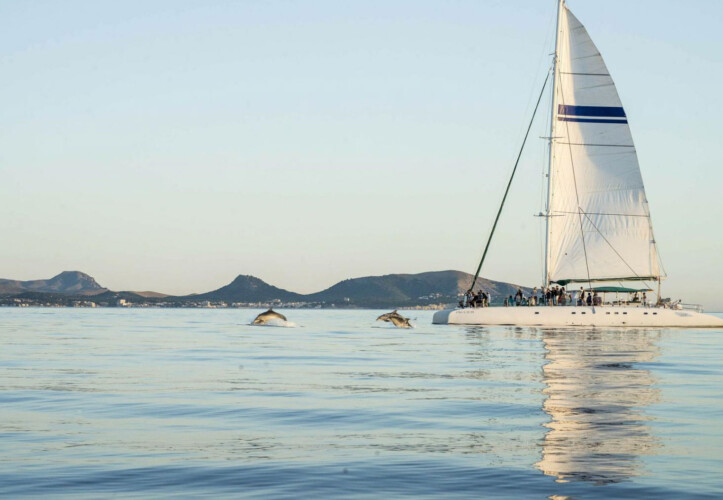 Catamaran Fountaine Pajot Taiti 75 Blue Mediterraneum Mallorca 27