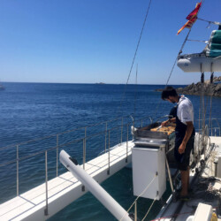 Catamaran Fountaine Pajot Taiti 75 Palma de Majorque 22