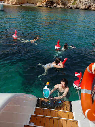 Katamaran Sun Concept Cat 12 Palma 21