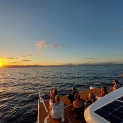 Katamaran Sun Concept Cat 12 Palma 26