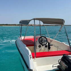 Motorboat Compass 400 GT Mallorca 1