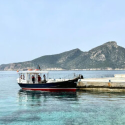 Barca a motore Margarita Port d-Andratx 5