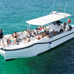 Моторная лодка Quer 60 Megalodon Palma 1