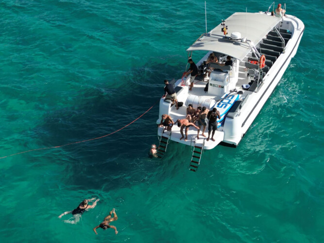 Моторная лодка Quer 60 Мегалодон Пальма 10