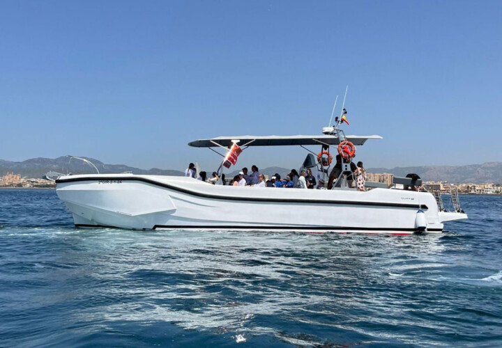 Моторная лодка Quer 60 Megalodon Palma 11