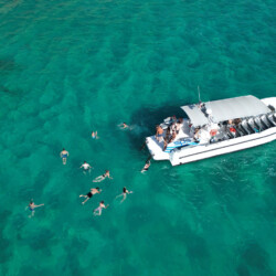 Моторная лодка Quer 60 Megalodon Palma 3