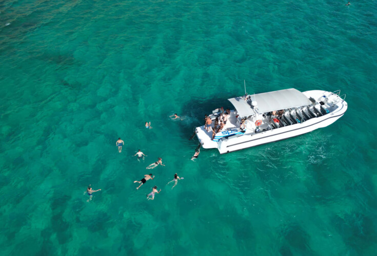 Моторная лодка Quer 60 Megalodon Palma 3