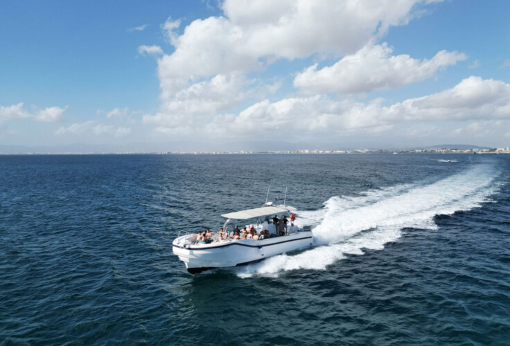 Моторная лодка Quer 60 Megalodon Palma 5