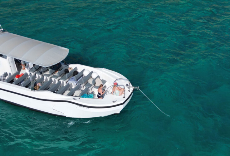 Моторная лодка Quer 60 Megalodon Palma 8