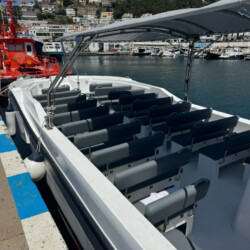 Моторная лодка Quer 60 Megalodon Palma 9