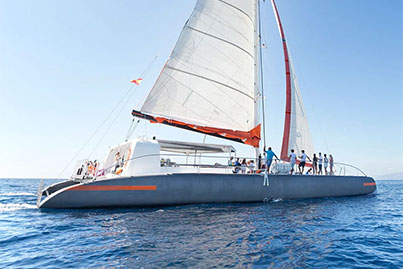 rent catamaran CAT 79 Attraction Palma
