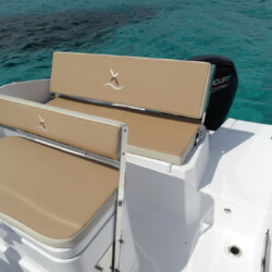 Motorboat Astilux 600 SD Portals Nous 2