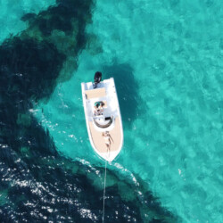 Motorboat Astilux 600 SD Portals Nous 6