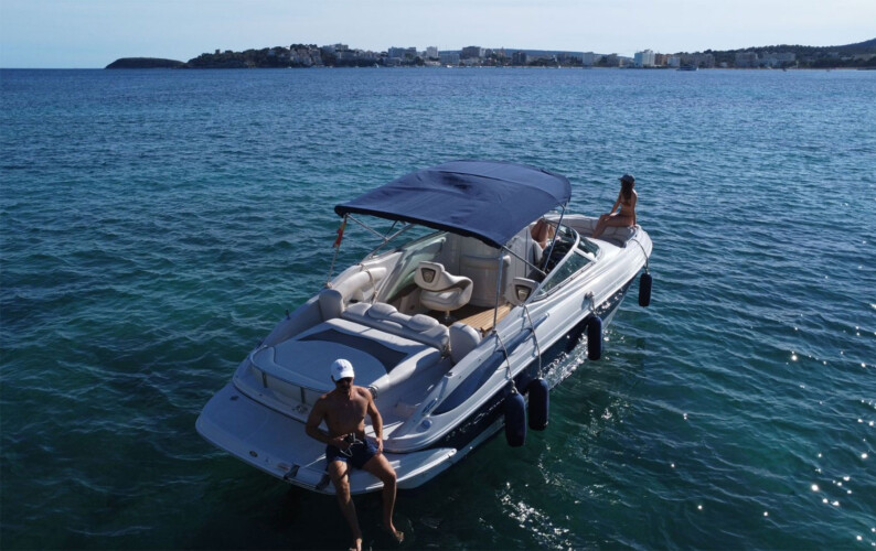 Motorboat Crownline 260 Portals Nous 1