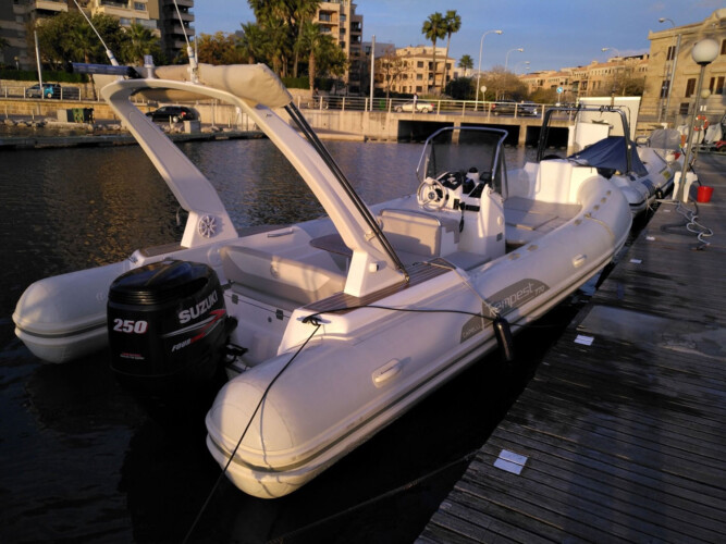 RIB Capelli Tempest 770 Can Pastilla 12