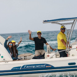 RIB Capelli Tempest 900 Can Pastilla 1