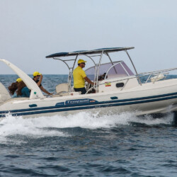 RIB Capelli Tempest 900 Can Pastilla 10