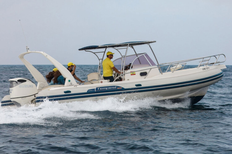 RIB Capelli Tempest 900 Can Pastilla 10