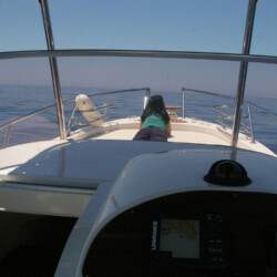 RIB Capelli Tempest 900 Can Pastilla 15