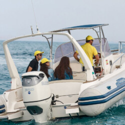 RIB Capelli Tempest 900 Can Pastilla 16