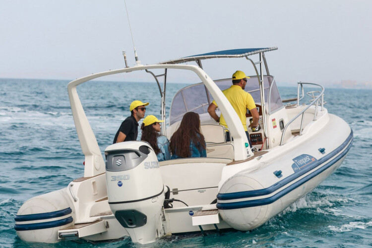 RIB Capelli Tempest 900 Can Pastilla 16