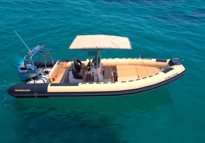 RIB Vanguard 760 Family Puerto Portals 6