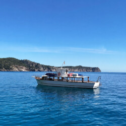 Motorboat Amayna Mallorca 5