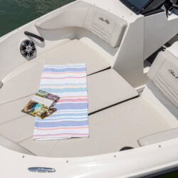 Motorboat Sea Ray 190 Alcudia 2