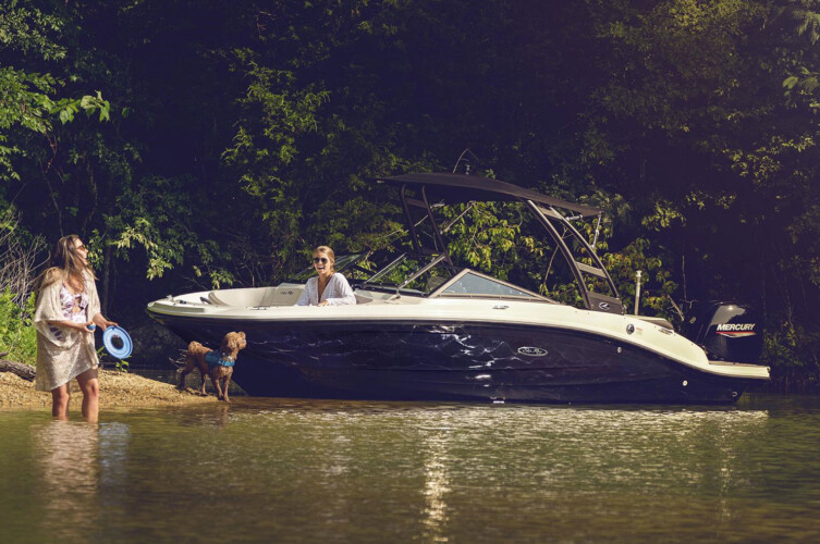 Motorboat Sea Ray 190 Alcudia 3