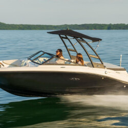 Motorboat Sea Ray 190 Alcudia 4