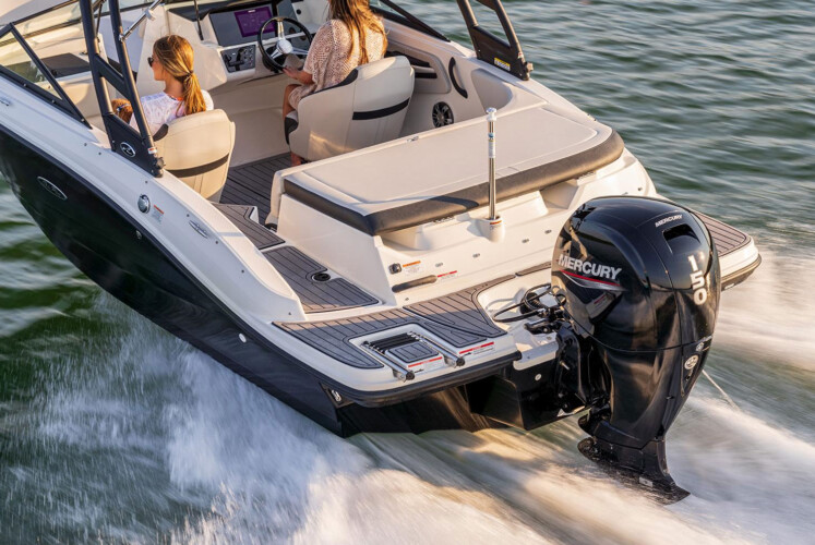 Motorboat Sea Ray 190 Alcudia 5