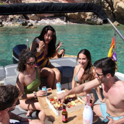 Motorboat Bayliner VR6 Santa Ponsa 12