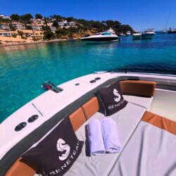 Motorboat Beneteau Flyer 9 Palma de Mallorca 9