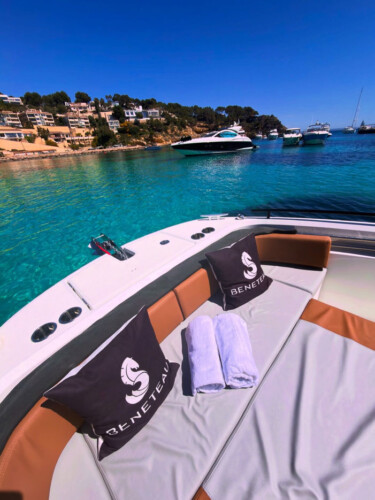Motorboat Beneteau Flyer 9 Palma de Mallorca 9