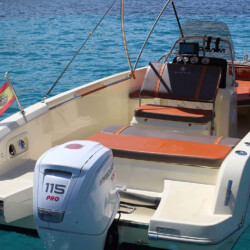 Lancha a motor Invictus 190 FX Santa Ponsa 2