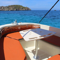 Lancha Invictus 190 FX Santa Ponsa 3