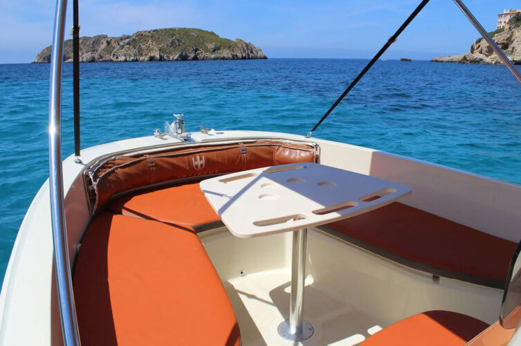 Lancha Invictus 190 FX Santa Ponsa 3