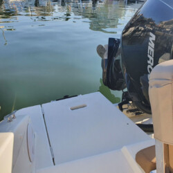 Bateau à moteur Quicksilver Activ 675 Good Life 10